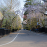 花通り