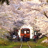 ・・・こんな景色に出会いたい