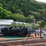 新緑の大井川鐵道⑤
