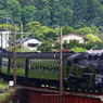 新緑の大井川鐵道⑥