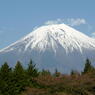 富士山＠朝霧高原