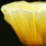 Lighating