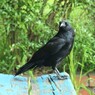 私に何か？