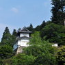 新緑の古城
