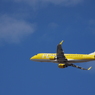 FDA[ｲｴﾛｰ](JA07FJ)ERJ-170@新千歳1605