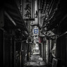 盛衰