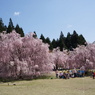竹田の里 しだれ桜まつり