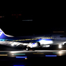 Dolphin Landing in Night