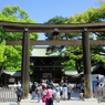 新緑の明治神宮9