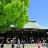 新緑の明治神宮10