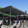 新緑の明治神宮13
