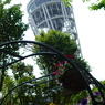 ENOSHIMA