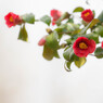 Red Camellia