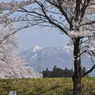 磐梯山
