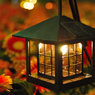 WONDER FLOWER GARDEN 04