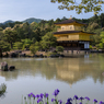 金閣寺