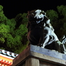 八坂神社の狛犬