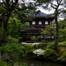 銀閣寺　その２
