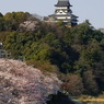 国宝　犬山城