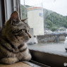 外は雨