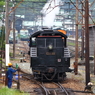 新緑の大井川鐵道⑯