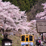 言葉にできない・・・
