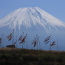 富士山と鯉のぼり