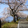 湖岸の道
