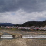 東北の春004