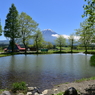 久しぶりの富士山