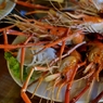 タイの旅　タイはエビが美味しい！