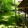 高桐院　庭を横から