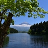 清々しい朝