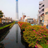 東京スカイツリー　十間橋より