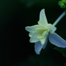 蒼の時間