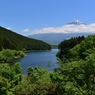 ここでランチでもいかが？