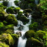 旅写真　長野・冠水渓　Ⅳ