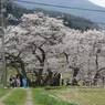 道なう