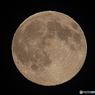 月齢14.3　大潮　お月さま