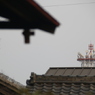 わび　その27