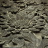 瑞泉寺n -1