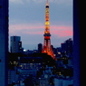 東京タワーに灯がともる