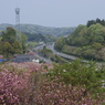 東北自動車道遠景
