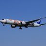 BB8 ANA JET ＠成田