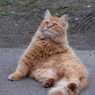 今日の空模様は？