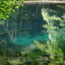 緑と青の丸池様-4