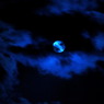 Wolfman's Night
