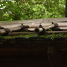 尾崎士郎記念館