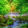 GreenForest ～天城渓谷～