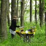 森のイオンで育み